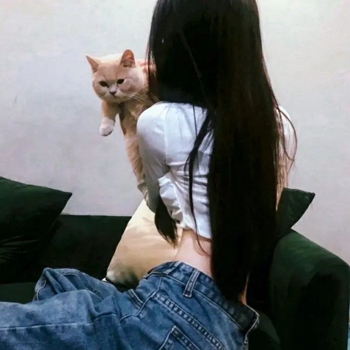 芭比与姐妹之赛马记